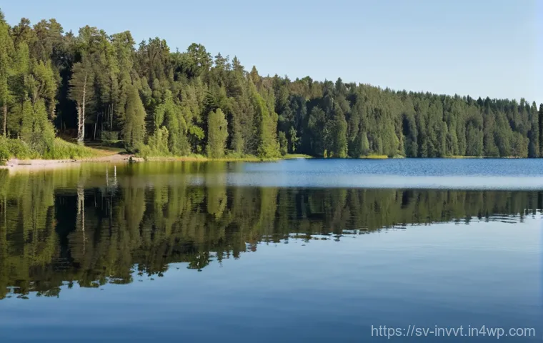 주식 배당과 배당 성장의 차이 - **Prompt 2: Nurturing Growth in Sunlight**
    "A close-up, high-angle shot of a pair of hands (gend...