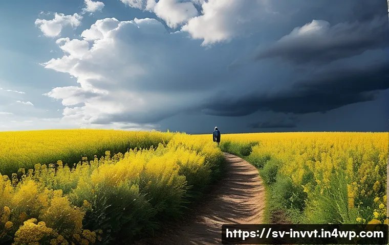 배당 성장 투자와 배당금 지급 일정 관련 이미지 2